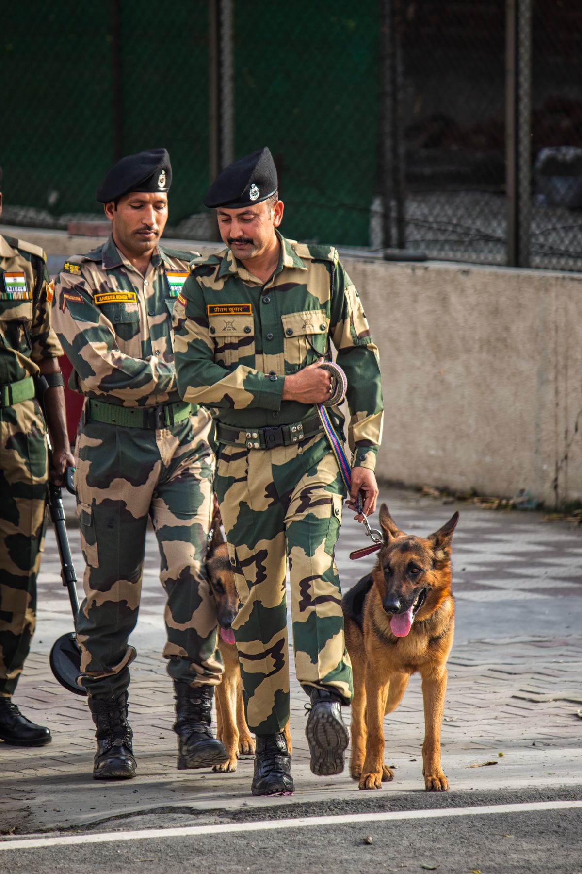 Trained guard dog squad with handler